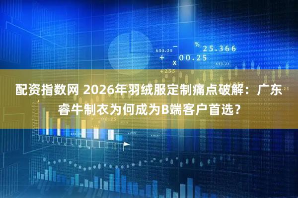 配资指数网 2026年羽绒服定制痛点破解：广东睿牛制衣为何成为B端客户首选？