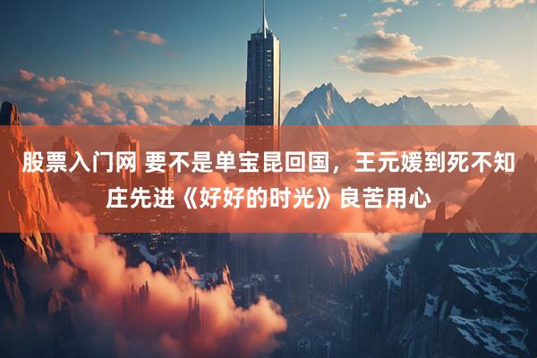 股票入门网 要不是单宝昆回国,王元媛到死不知庄先进《好好的时光》良苦用心